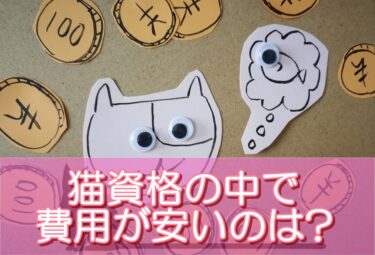 猫資格の中で費用が安いのは?リーズナブルな猫資格の選び方やおすすめ資格を解説!