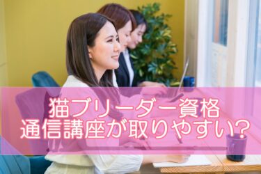 猫ブリーダー資格は通信講座が取りやすい?人気資格が取れるおすすめ通信講座をご紹介！