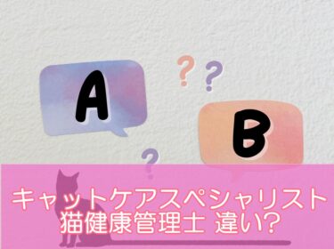 キャットケアスペシャリストと猫健康管理士の違いは?人気猫資格を徹底比較!