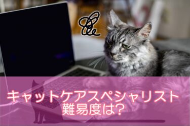 キャットケアスペシャリストの難易度は?難しい理由や解消法を解説