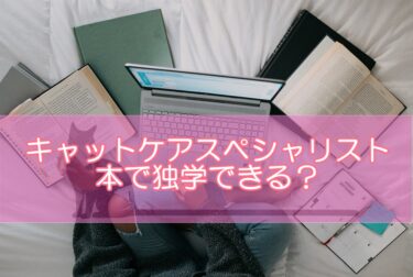 キャットケアスペシャリストは本で独学できる？資格取得のための勉強スタイルを解説