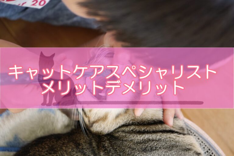 キャットケアスペシャリスト資格とは?評判からわかるメリット