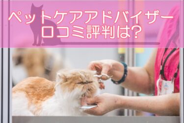 ペットケアアドバイザー資格の口コミ評判は?通信講座キャリカレの勉強しやすさが魅力？
