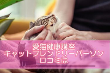 愛猫健康講座のキャットフレンドリーパーソン資格の口コミは?評判を検証！