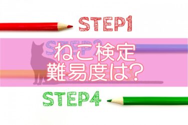 ねこ検定の合格率や難易度は?合格ラインや試験問題の難しさを解説