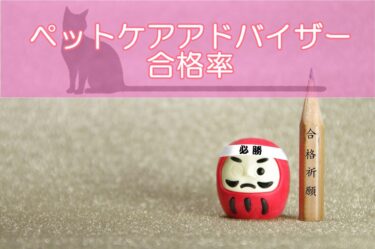 ペットケアアドバイザー資格の試験の合格率は?難易度から試験対策までご紹介