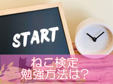 猫検定（ねこ検定）の勉強方法は?勉強時間やテスト対策のポイントをご紹介！