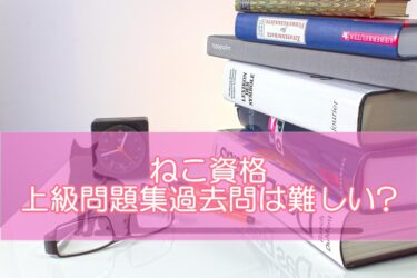 猫資格（ねこ資格）の上級問題集・過去問は難しい?合格率や難易度も解説！