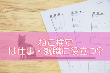 猫検定（ねこ検定）は仕事・就職に役立つ?履歴書に書ける?仕事への活かし方を解説！