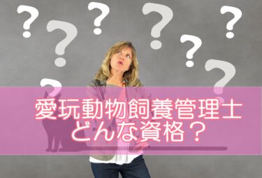 愛玩動物飼養管理士とはどんな資格？内容や取る意味から取り方・申し込み方法まで解説