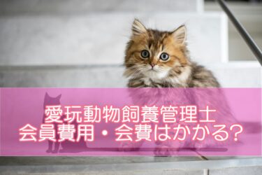 愛玩動物飼養管理士の会員費用・会費はかかる?受験料・受講料の値段は?費用を徹底解説