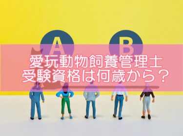 愛玩動物飼養管理士の受験資格は何歳から？高校生や実務経験なしでも受けられる?