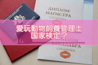 愛玩動物飼養管理士は国家検定？国家資格？民間資格？資格の種類を解説