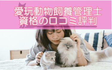 愛玩動物飼養管理士資格の口コミ評判は?テキストやスクーリングなどリアルな感想まとめ！