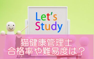 猫健康管理士とは？合格率や難易度は？猫の健康管理に役立つ愛猫家おすすめ資格！