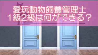 愛玩動物飼養管理士1級2級は何ができる？できること・使い道などメリットを解説