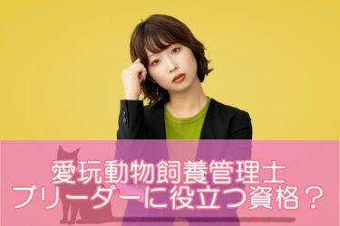 愛玩動物飼養管理士はブリーダーに役立つ資格？具体的なおすすめポイントを解説