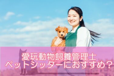 愛玩動物飼養管理士はペットシッターにおすすめの資格？取得するメリットを解説