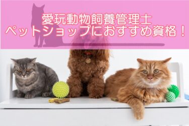 愛玩動物飼養管理士はペットショップの仕事におすすめ資格！メリットデメリットを解説