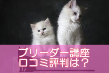 ブリーダー講座の資格講座の口コミ評判は？ペット繫殖指導員を目指せる講座のメリットデメリットとは