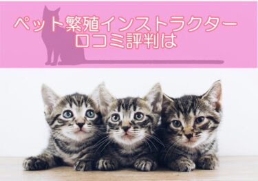 ペット繁殖インストラクターの口コミ評判は？実践的な知識が自宅で学べると評判！