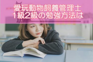 愛玩動物飼養管理士1級2級の勉強方法は？勉強時間やノート学習など試験対策を徹底解説！