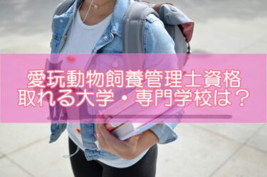 愛玩動物飼養管理士の資格が取れる大学・専門学校は？学校で勉強するメリットデメリットを解説