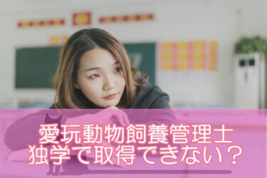 愛玩動物飼養管理士は独学で取得できない？テキストで独学したい人におすすめの取得方法とは？