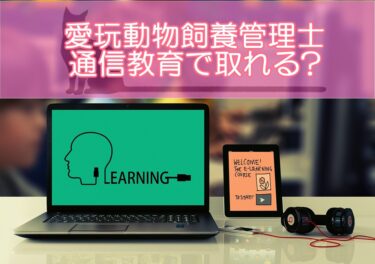 愛玩動物飼養管理士は通信教育で取れる！おすすめ通信講座やテキスト独学との違いを解説