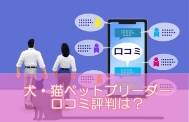 犬・猫ペットブリーダー資格の口コミ評判は？初心者でも目指しやすいおすすめ資格！