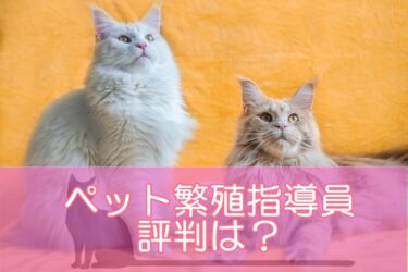 ペット繁殖指導員の資格は評判がいい？良い・悪い口コミを調査！