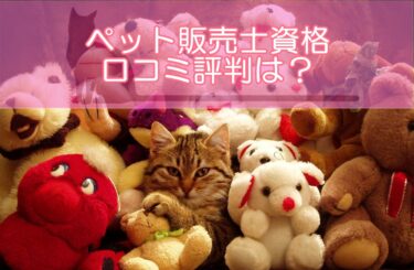 ペット販売士資格の口コミ評判は？ペット業界で活かせる資格と評判！