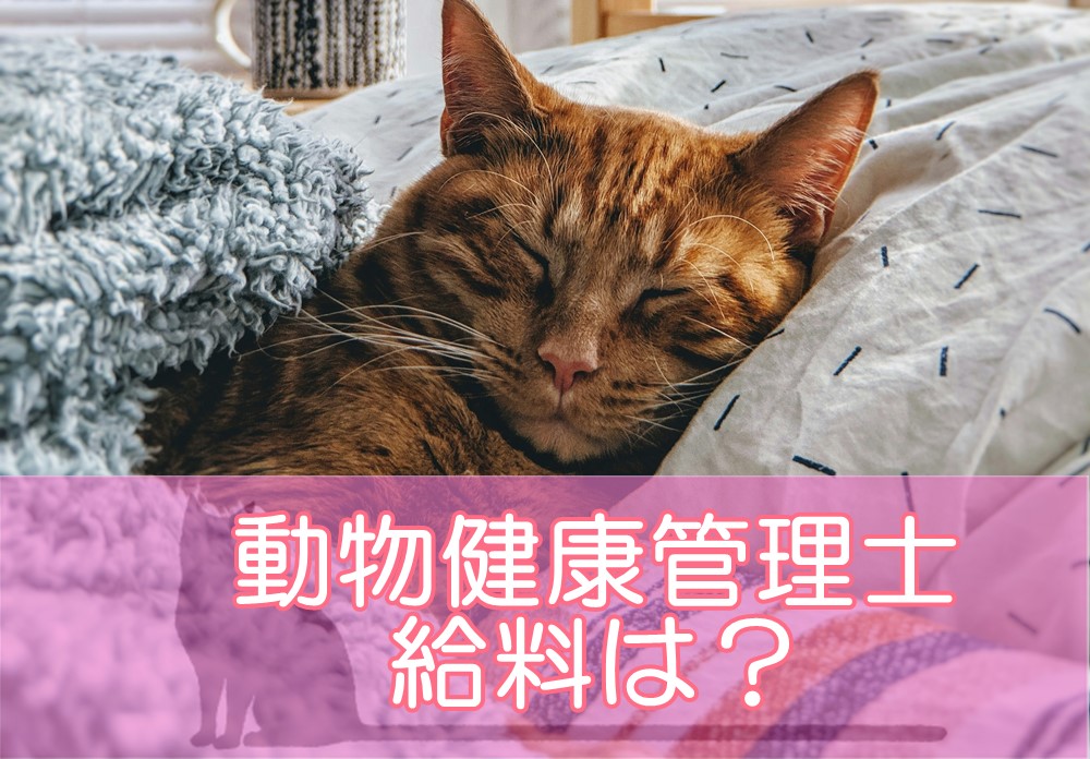 動物健康管理士の給料は？